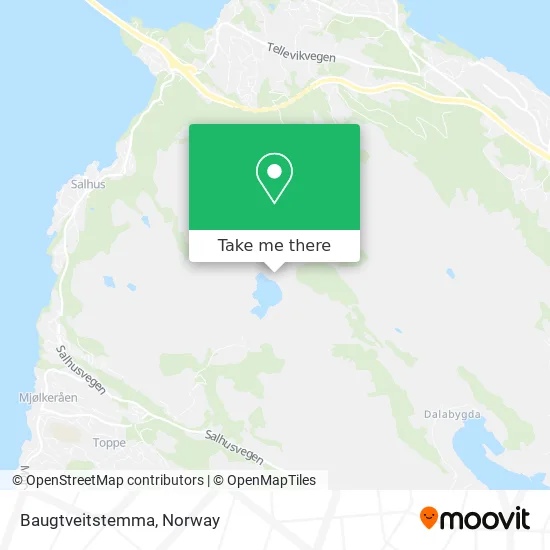 Baugtveitstemma map