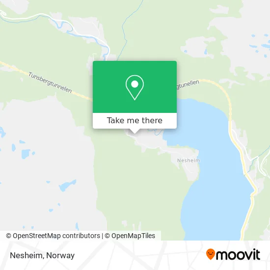 Nesheim map