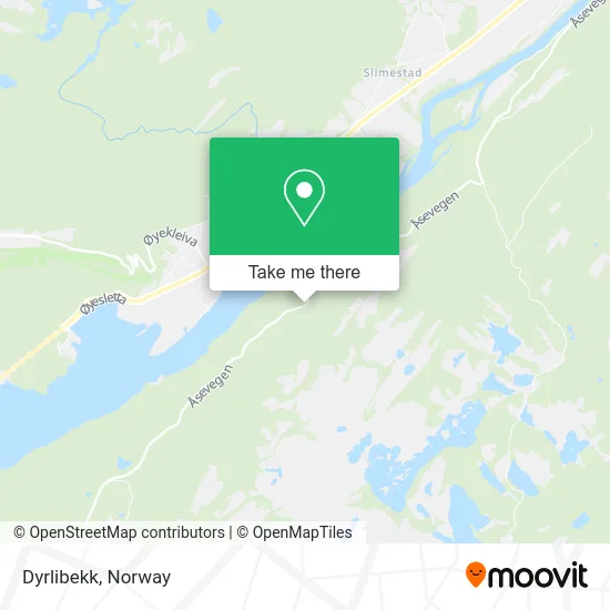Dyrlibekk map