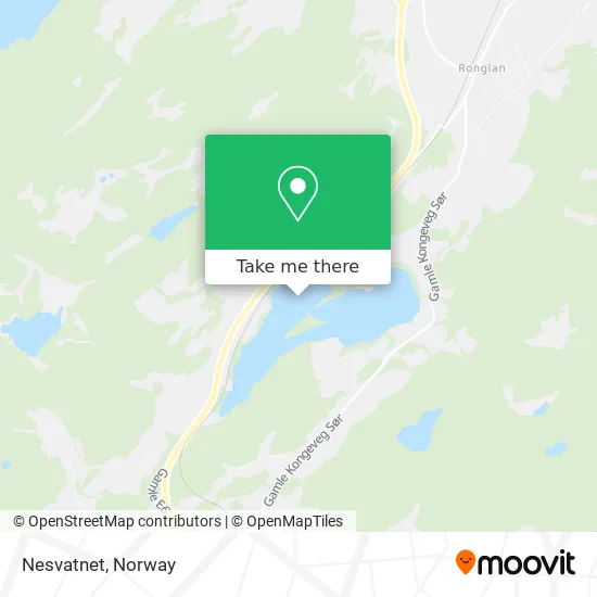 Nesvatnet map
