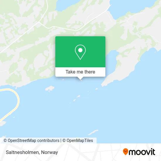 Saltnesholmen map