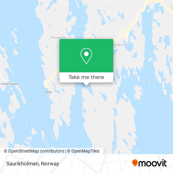 Saurikholmen map