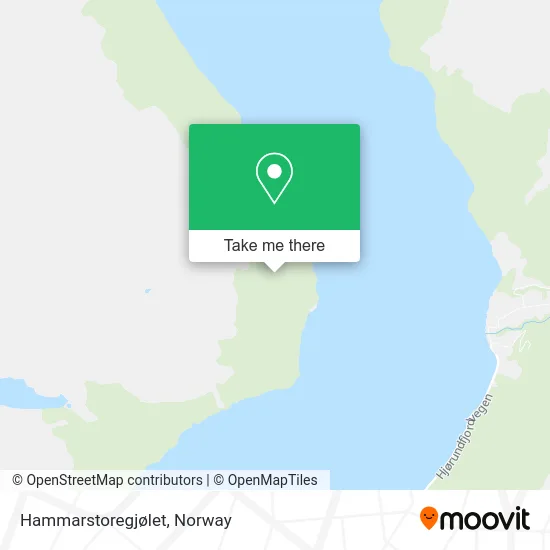 Hammarstoregjølet map