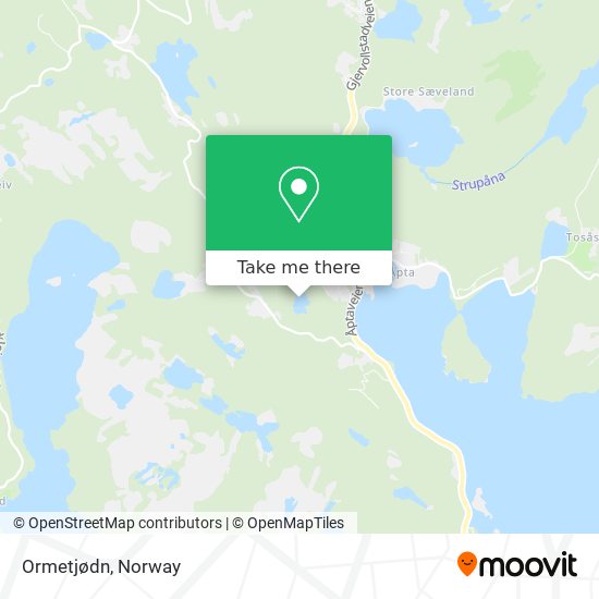 Ormetjødn map