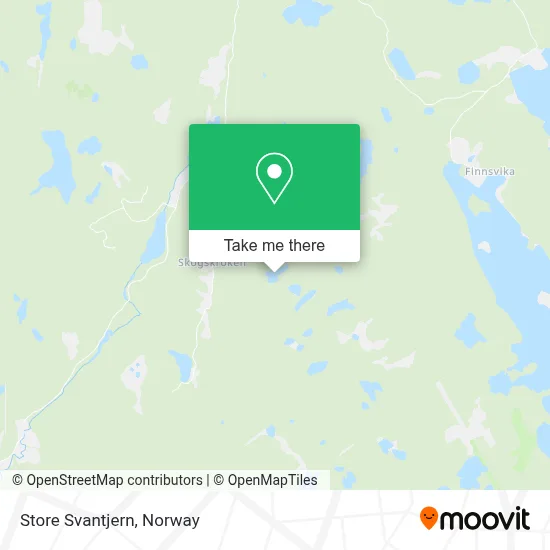 Store Svantjern map