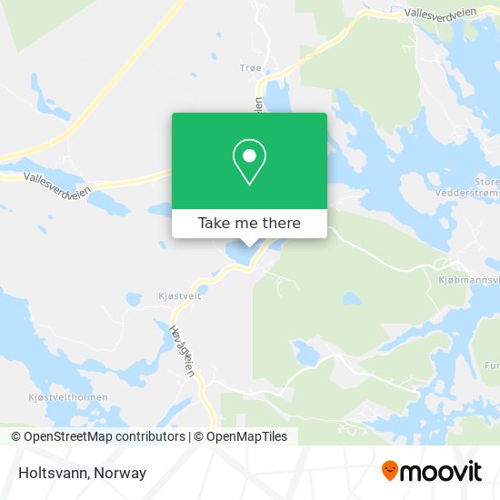 Holtsvann map