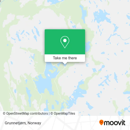 Grunnetjørn map