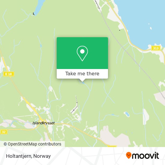 Holtantjern map