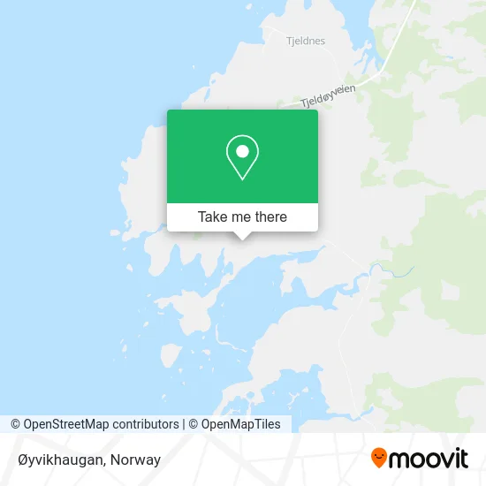 Øyvikhaugan map