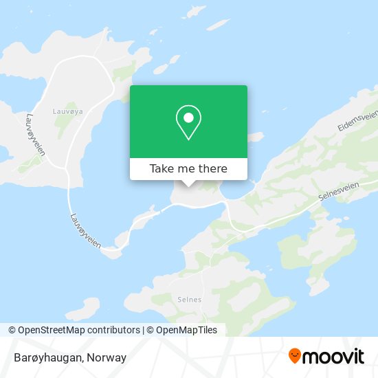 Barøyhaugan map