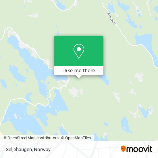 Seljehaugen map