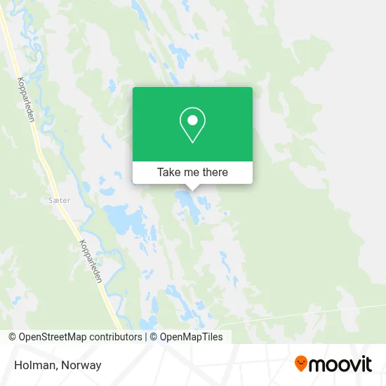 Holman map