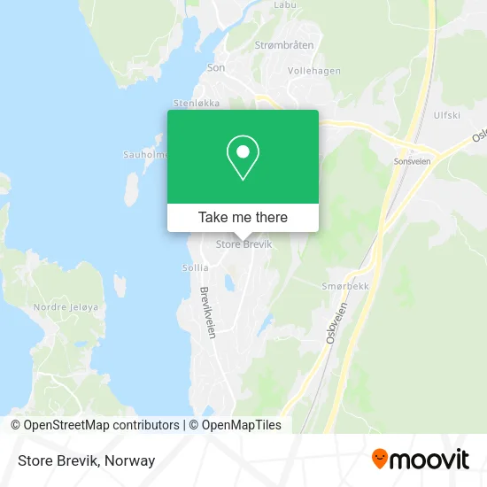 Store Brevik map