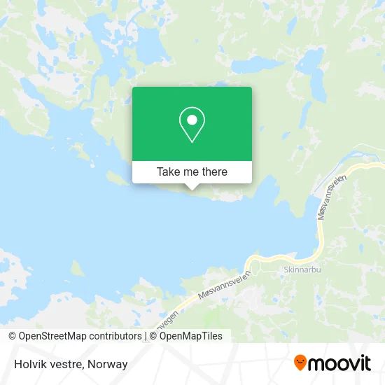 Holvik vestre map