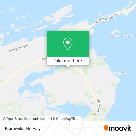 Bjørnevika map