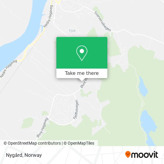 Nygård map