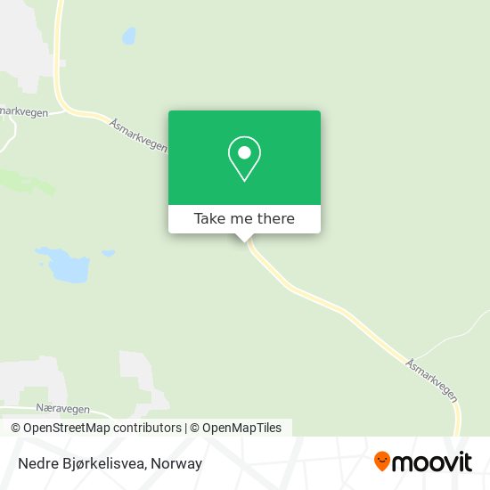 Nedre Bjørkelisvea map