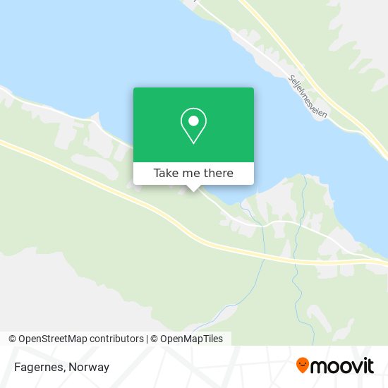 Fagernes map