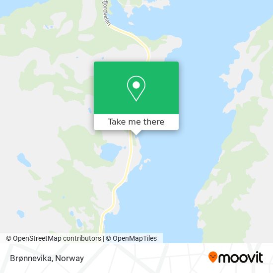 Brønnevika map