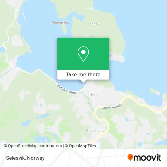 Selesvik map
