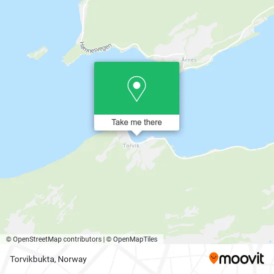 Torvikbukta map