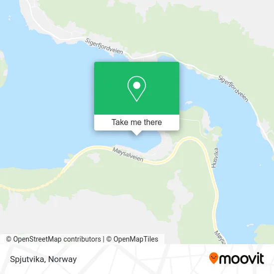 Spjutvika map