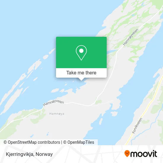 Kjerringvikja map
