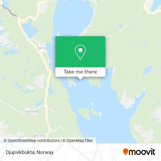 Djupvikbukta map