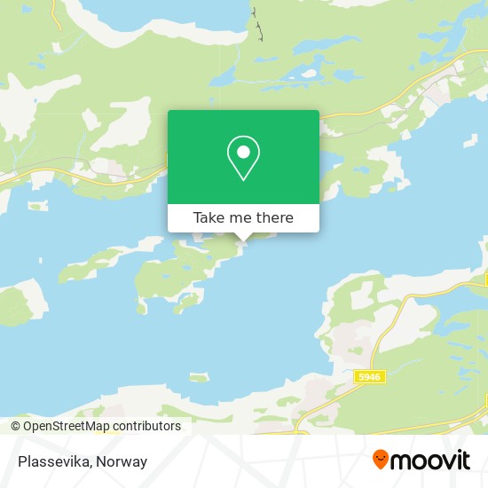 Plassevika map