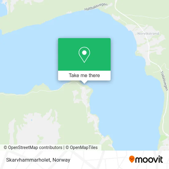 Skarvhammarholet map