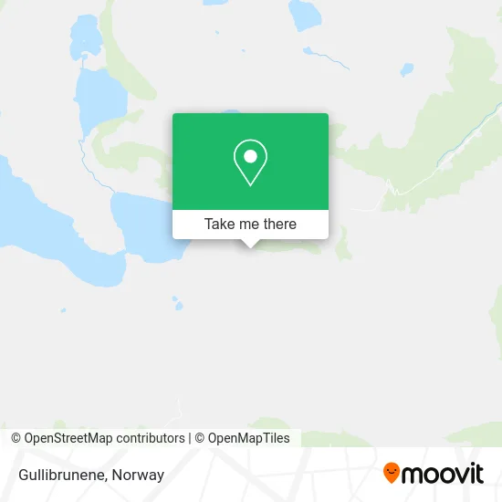Gullibrunene map