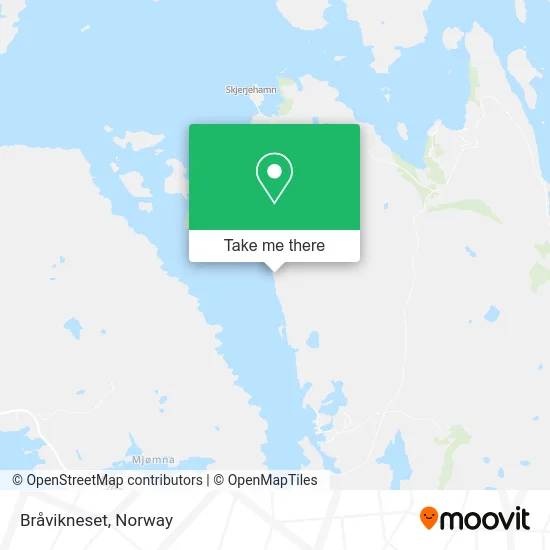 Bråvikneset map