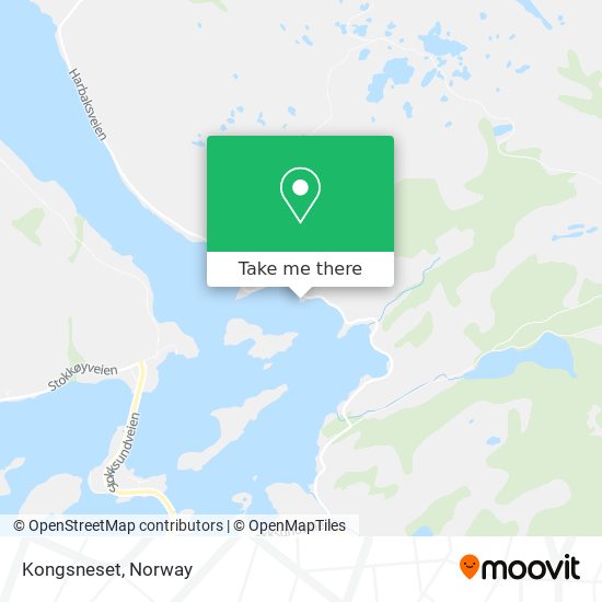 Kongsneset map