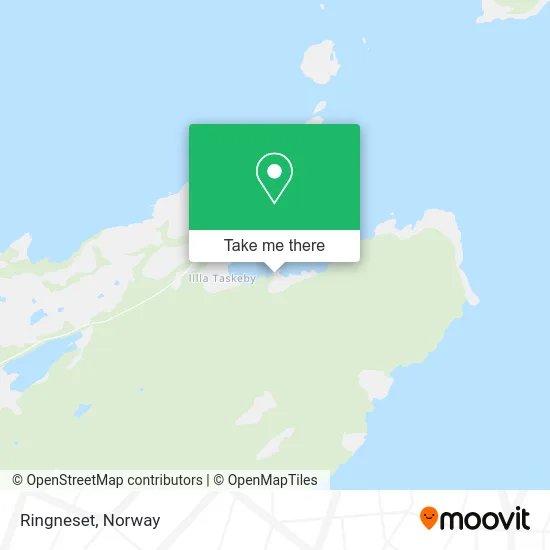 Ringneset map
