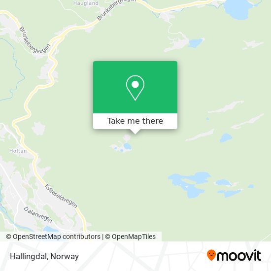 Hallingdal map