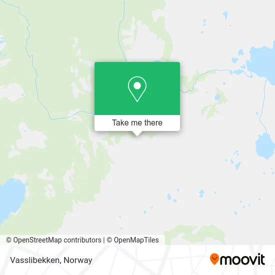 Vasslibekken map
