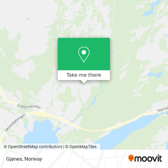 Gjønes map