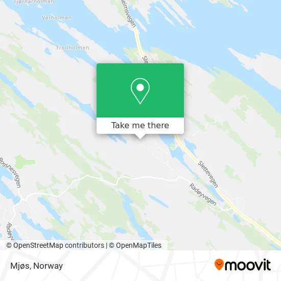 Mjøs map