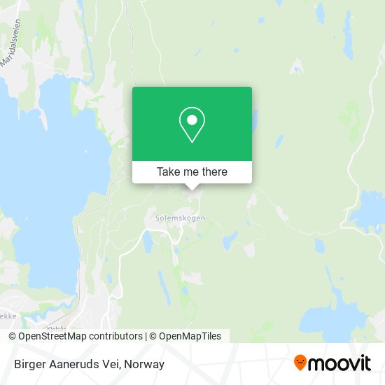 Birger Aaneruds Vei map