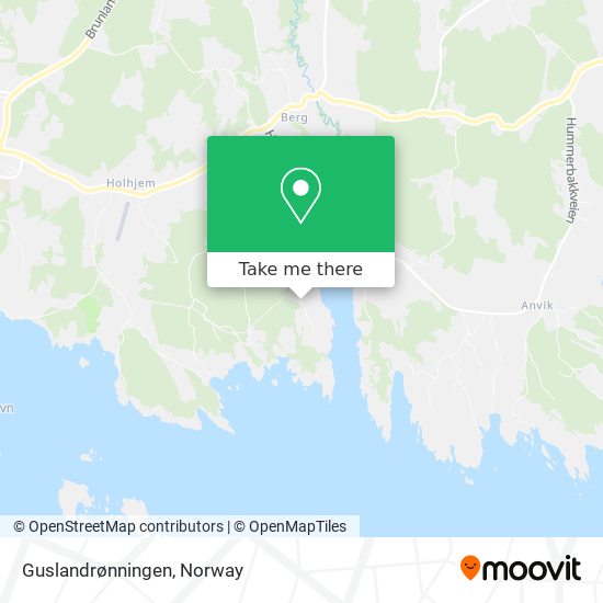 Guslandrønningen map