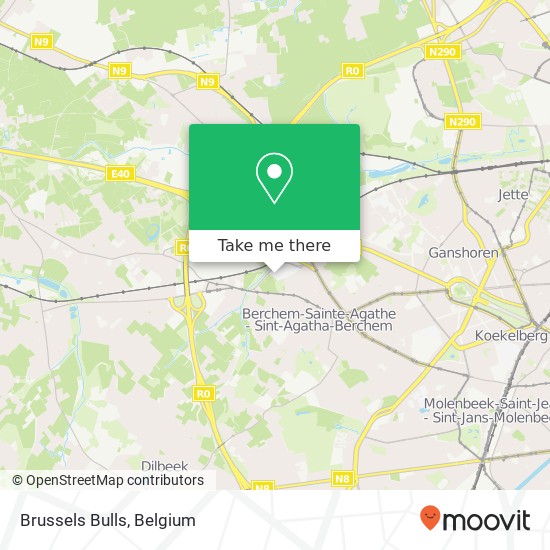 Brussels Bulls map