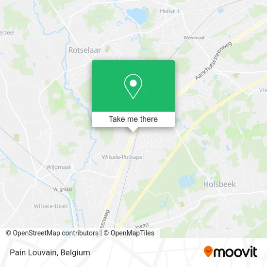 Pain Louvain map