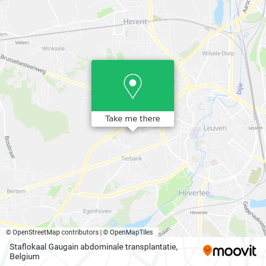 Staflokaal Gaugain abdominale transplantatie map