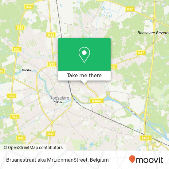 Bruanestraat aka MrLionmanStreet plan