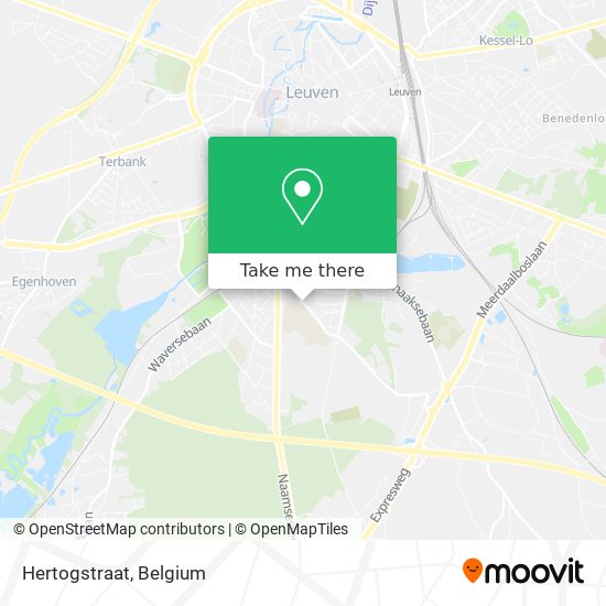 Hertogstraat plan