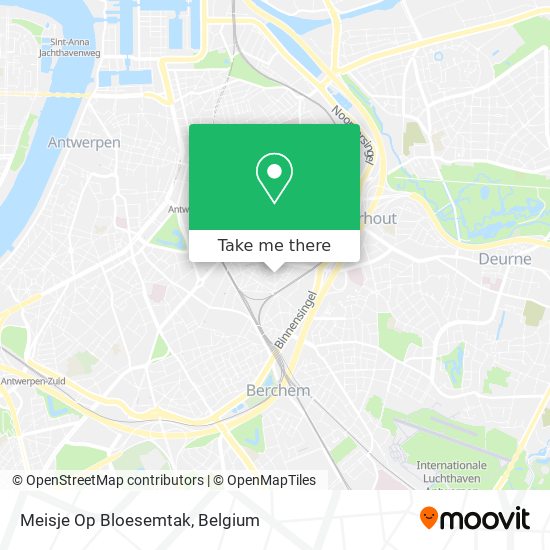 Meisje Op Bloesemtak map