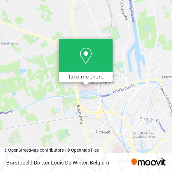 Borstbeeld Dokter Louis De Winter plan