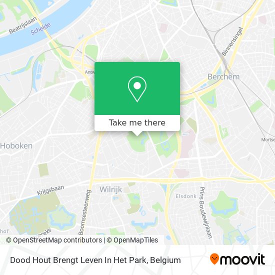 Dood Hout Brengt Leven In Het Park map