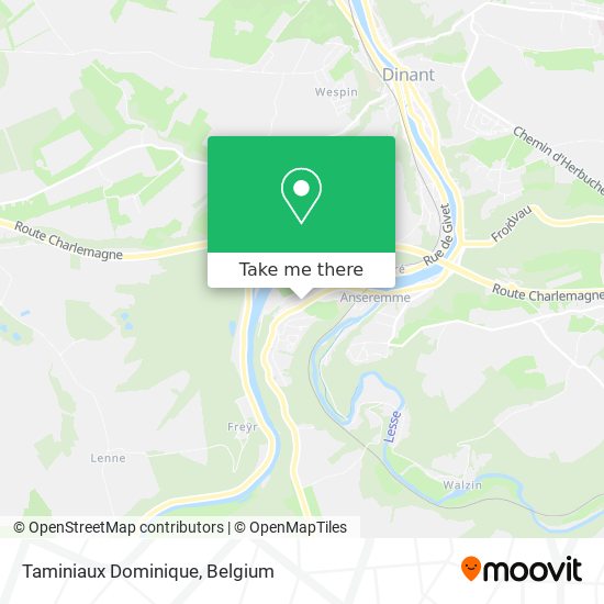 Taminiaux Dominique map