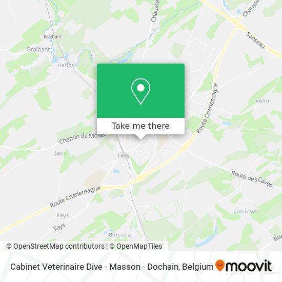 Cabinet Veterinaire Dive - Masson - Dochain plan